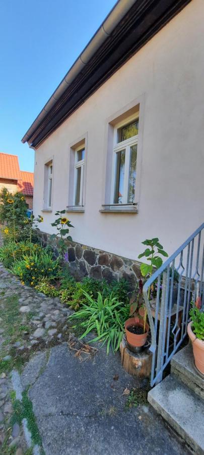 Ferienwohnung Landidylle Worpen Eksteriør billede
